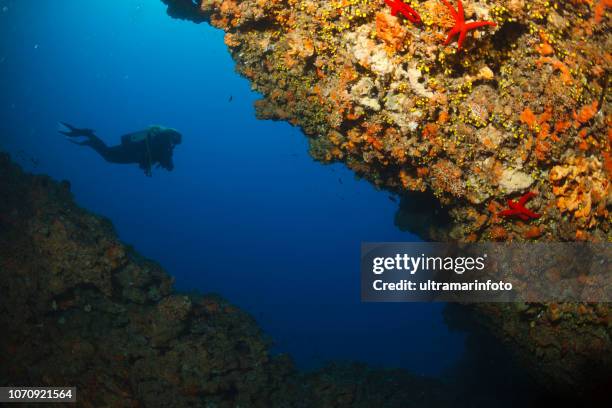 scuba diving exploring and enjoying   sea life  sporting women long blonde hair  water sports  scuba diver point of view - vis croatia stock pictures, royalty-free photos & images