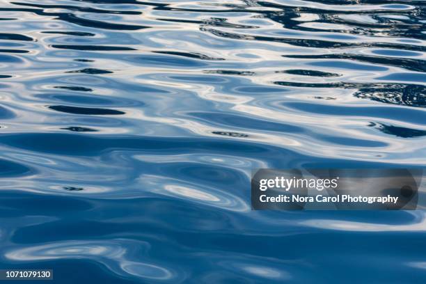 overhead view of blue water surface abstract in a pool - ocean surface level stock pictures, royalty-free photos & images