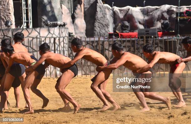 Naga tribesman from Sumi tribe performs on the last day of the Hornbill festival at the Naga Heritage Village Kisama, some 10 kms away from Kohima,...