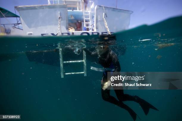 Legendary oceanographer Sylvia Earle is photographed during an expedition to the Sargasso Sea as part of her "Mission Blue" campaign. Mission Blue's...