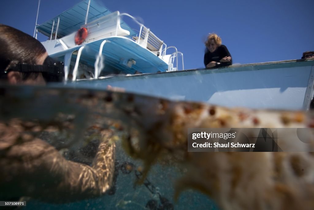 Sylvia Earle Mission Blue