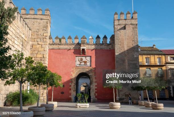 alcazar, royal palace, entrance gate, castle wall, sevilla, andalusia, spain - アルカサル城塞 ストックフォトと画像