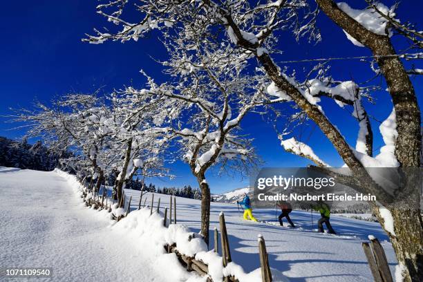 snowshoe hikers, gruberberg, hopfgarten, kitzbueheler alps, tyrol, austria - hopfgarten stock pictures, royalty-free photos & images