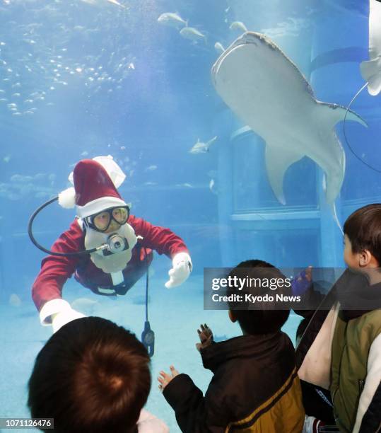 Diver dressed as Santa Claus swims in a fish tank at the Kaiyukan aquarium in Osaka on Dec. 10, 2018. ==Kyodo