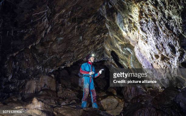 November 2018, North Rhine-Westphalia, Bad Wünnenberg: The speleologist Stefan Henscheid shines his flashlight on the greenish-blue stalactites...