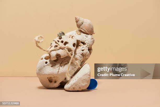 rocks and seashell sculpture - chalk rock stock pictures, royalty-free photos & images