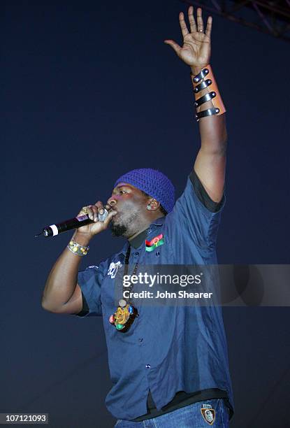 Clan during 21st Annual SXSW Film and Music Festival - BMI Presents Public Enemy, X-Clan and Ozomatli at Town Lake Stage in Austin, Texas, United...