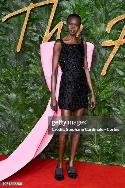 Alek Wek attends the Fashion Awards 2018 in partnership with Swarovski at Royal Albert Hall on December 10, 2018 in London, England.