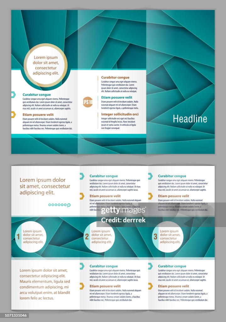 Example For Leaflet Leaflet Design Example High-Res Vector Graphic - Getty Images
