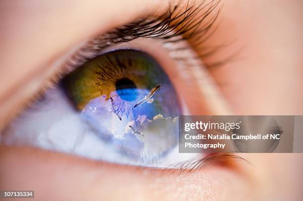 the eyes of a child - human eye ストックフォトと画像