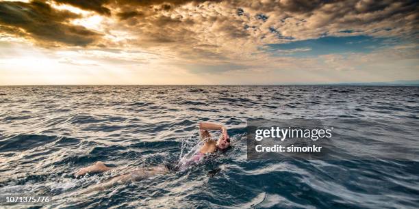 freiwasser-schwimmer schwimmen im meer - open workouts stock-fotos und bilder