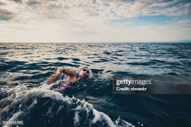 open water swimmer swimming in sea - woman sea stock pictures, royalty-free photos & images