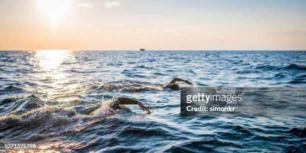 open water swimmers swimming front crawl in sea - open water swimming stock pictures, royalty-free photos & images