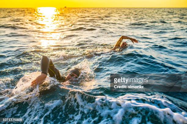 open water swimmers swimming front crawl in sea - triathlon swim stock pictures, royalty-free photos & images