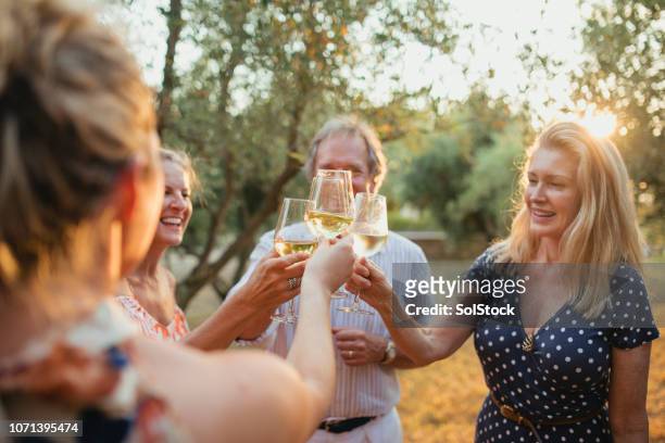 getränke am abend im urlaub - wine tasting stock-fotos und bilder
