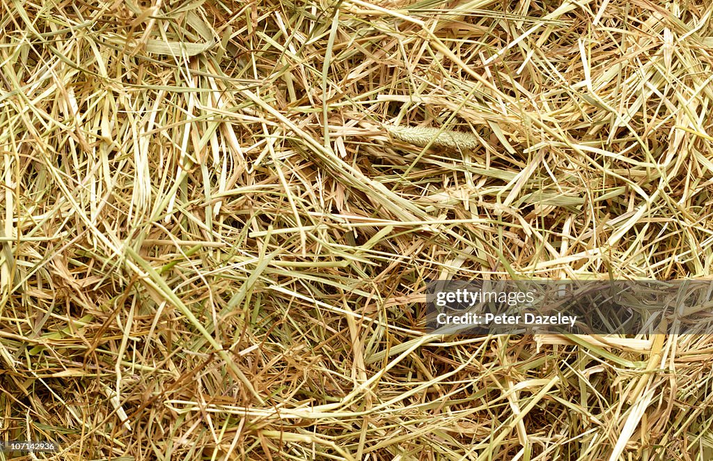 Straw and grass full frame background