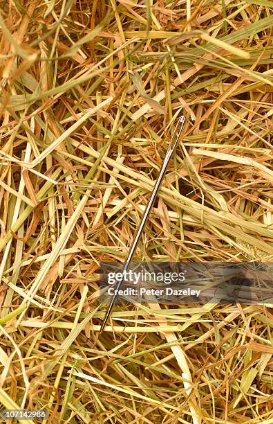 Needle Ina Haystack Gif 181 Needle Haystack Concept Stock Photos, High-Res Pictures, and Images ...