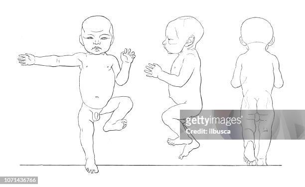 antique illustration of human body anatomy: newborn - human anatomy organs back view stock illustrations
