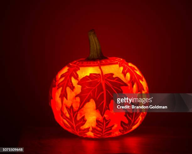fall pumpkin - carve out stock pictures, royalty-free photos & images