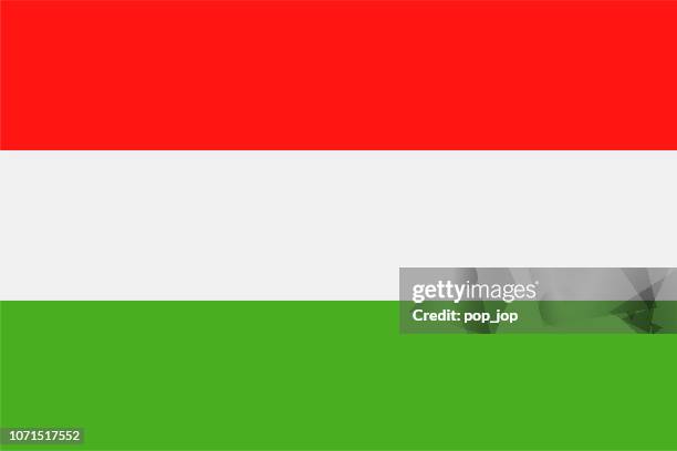 03 - united states - rectangle flat - budapest stock illustrations