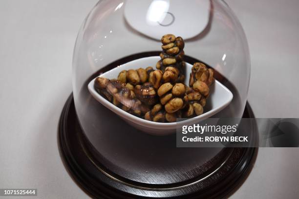 Kopi Luwak from Indonesia, coffee beans eaten and excreted by the Asian palm civet, is presented in the Disgusting Food Museum on December 6, 2018 in...