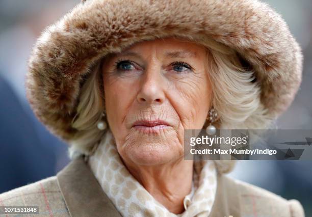 Camilla, Duchess of Cornwall attends The Prince's Countryside Fund Raceday at Ascot Racecourse on November 23, 2018 in Ascot, England.