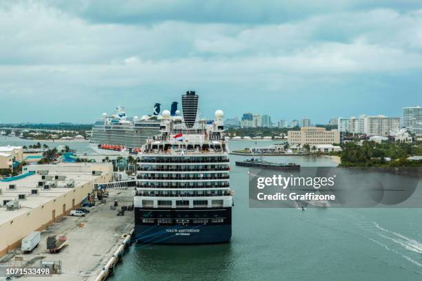 nieuw amsterdam rotterdam at fort lauderdale harbor - fort lauderdale stock pictures, royalty-free photos & images