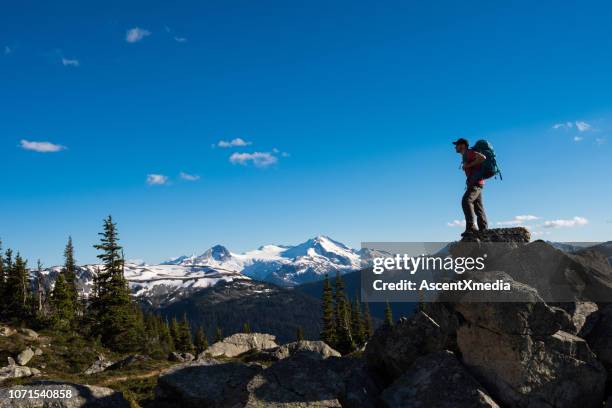 wandern in den alpen - trail britisch kolumbien stock-fotos und bilder