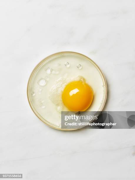 row egg on peri dish with white marble background - gema de ovo imagens e fotografias de stock