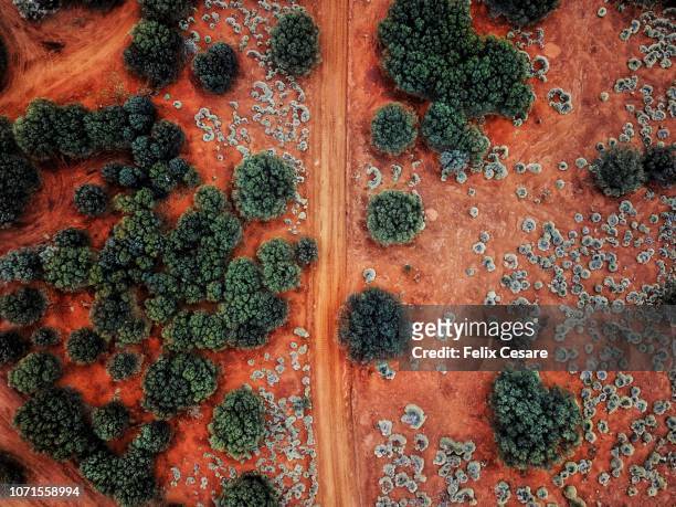 an aerial shot of the red centre roads in the australian outback - territorio del nord foto e immagini stock