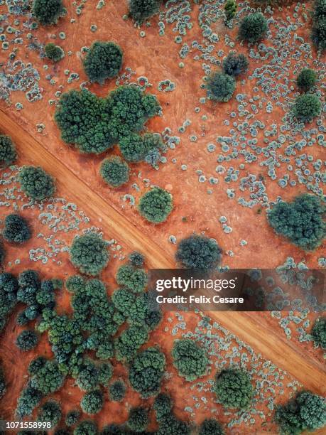 an aerial shot of the red centre roads in the australian outback - kings canyon australia stockfoto's en -beelden