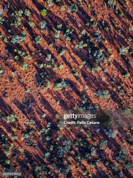 an aerial shot of the red centre roads in the australian outback - kings canyon australia stockfoto's en -beelden