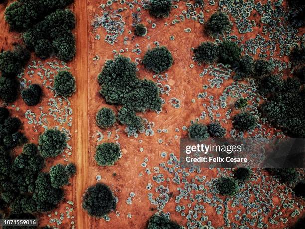 an aerial shot of the red centre roads in the australian outback - darwin australia stock-fotos und bilder