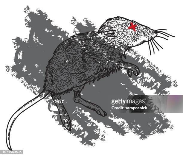 37 Ilustraciones de Dead Mouse - Getty Images
