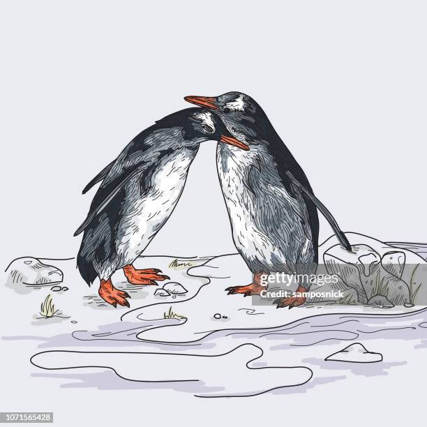 penguin love - tundra stock illustrations