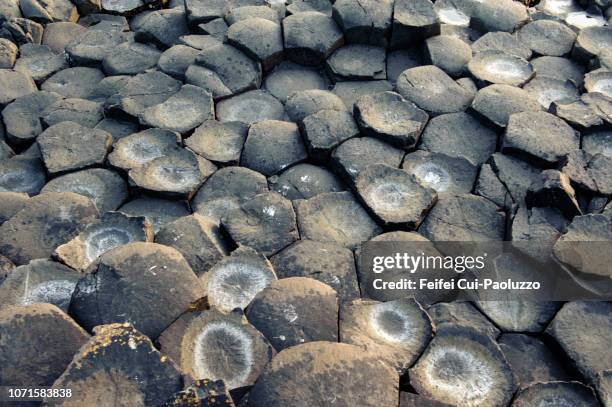 basalt columns of giant's causeway, northern ireland - columna de basalto fotografías e imágenes de stock