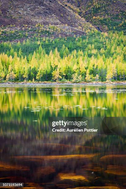 parc national de la gaspésie, autumn at lac du diable - parc national de la gaspésie stock pictures, royalty-free photos & images