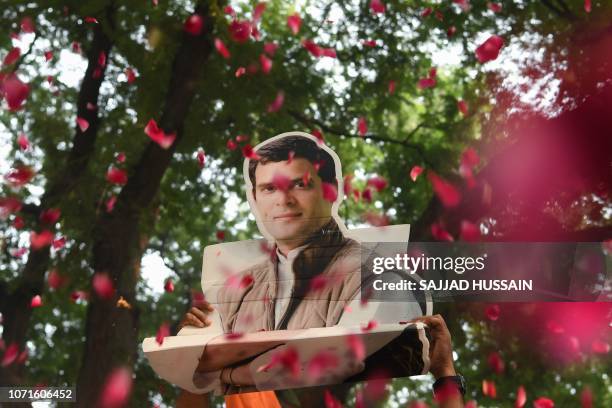 Bust placard of All India Congress Committee President Rahul Gandhi is seen through a shower of rose petals as Congress party supporters celebrate...