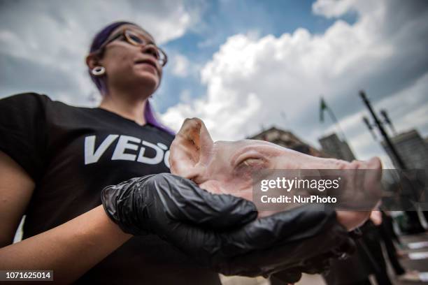 Animal rights activists from Veddas hold dead animals during a gathering to protest the treatment of animals in Sao Paulo, Brazil, December 10, 2018.