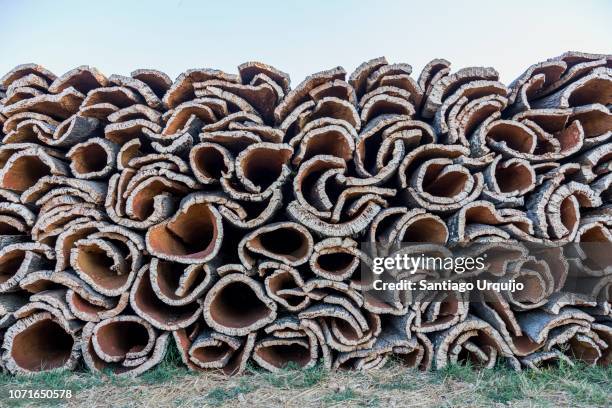 heap of cork bark - cork material bildbanksfoton och bilder