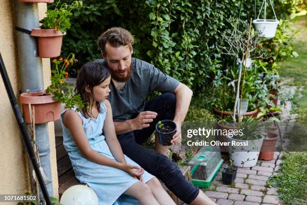 father explaining plant to daughter in garden - 9 steps stock pictures, royalty-free photos & images