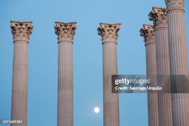roman temple under the moonlight - arkitektonisk kolonn bildbanksfoton och bilder