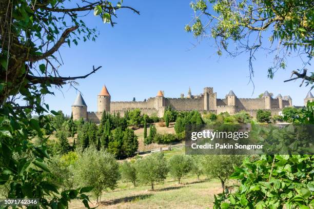 row vine grape in champagne vineyards at carcassonne background - carcassonne stock pictures, royalty-free photos & images