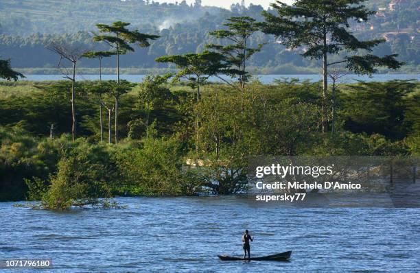 fishermen on dugout canoes - uganda stock pictures, royalty-free photos & images