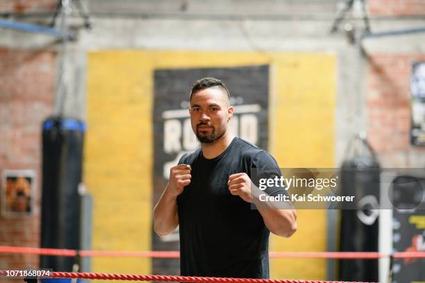 Joseph Parker poses following a boxing session at Round 12 Boxing & Fitness Centre on December 12, 2018 in Christchurch, New Zealand.