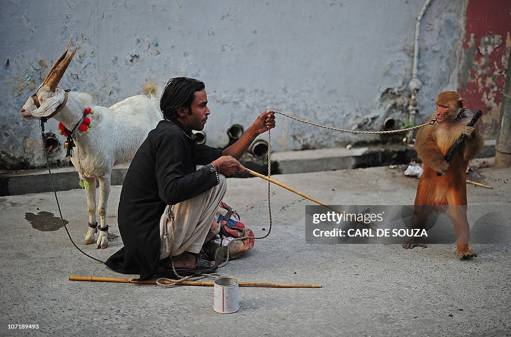 An illegal street performer pulls on a c