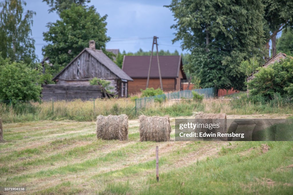 Polish hay