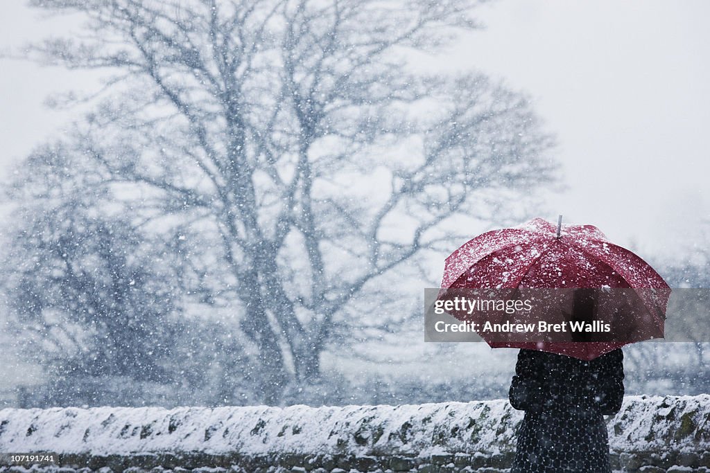 Woman sheltering under umbrella in a snow storm