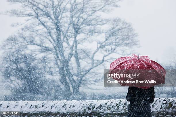 woman sheltering under umbrella in a snow storm - froid photos et images de collection