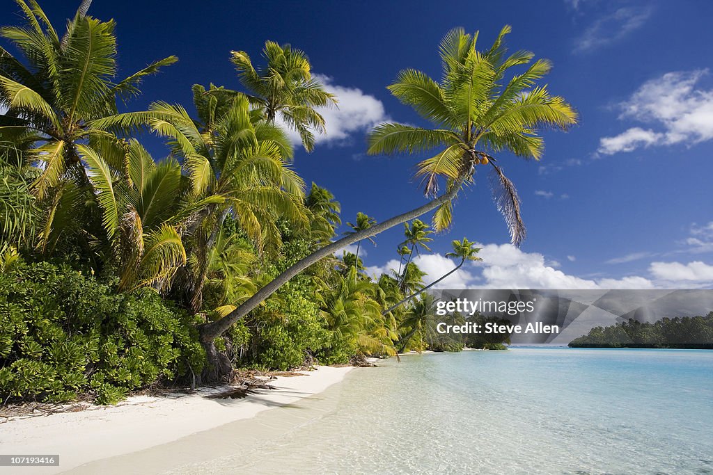 Vacation Paradise - Cook Islands